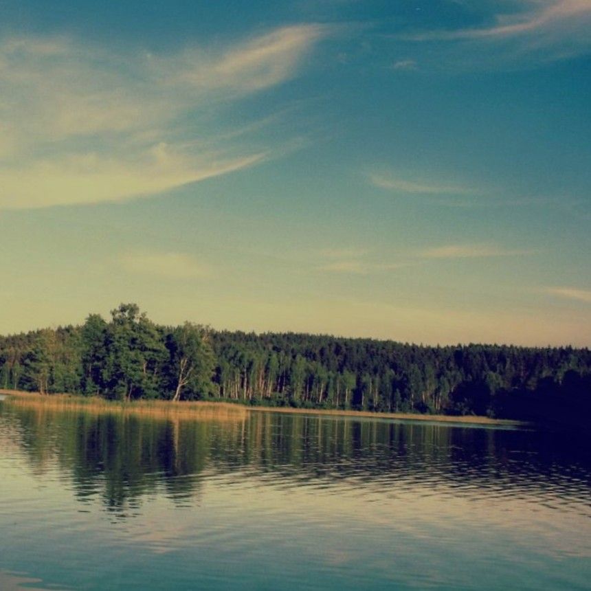 insurance documents and laptop