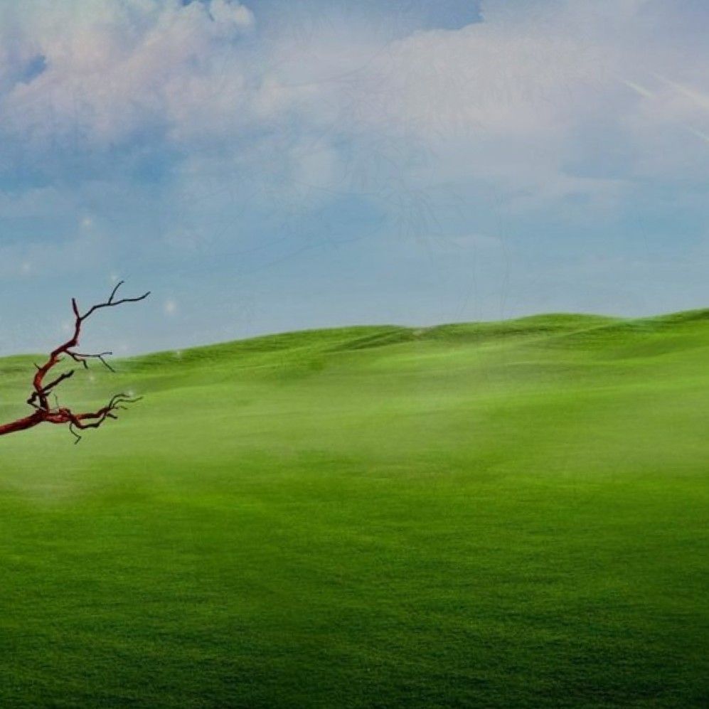 online insurance exam